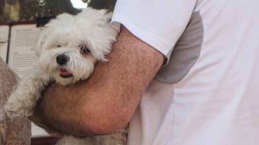 Street Photographs from Spain