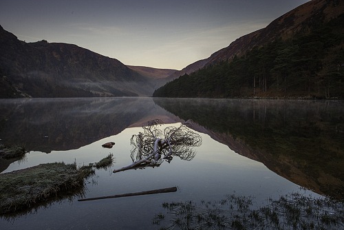 C088E4C41F9A4C0EAA7545700E4D3D28-0000333657-0003516312-00500L-3DB15932A0E74DCFAD7D1E67CACC59A1